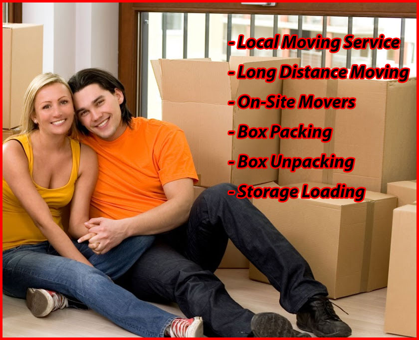 Packers And Movers Noida Sector 134